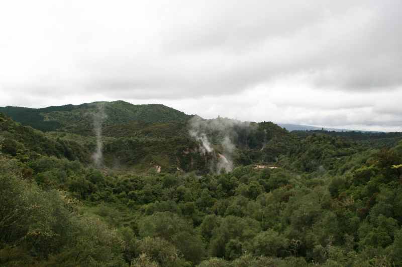 Nieuw-Zeeland 2011 - 0686